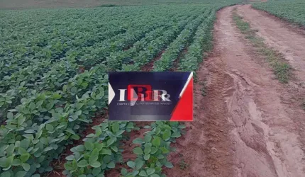 Fazenda em Sorocaba - SP