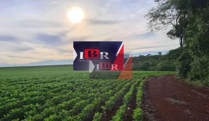 Fazenda em Antônio João - MS