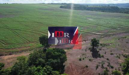 Fazenda em Pedro Gomes - MS