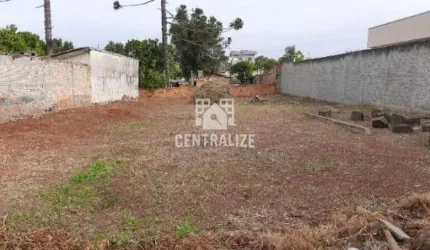 Terreno à venda, Oficinas, PONTA GROSSA - PR
