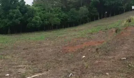 VENDA-TERRENO-OLARIAS-PONTA GROSSA-PR