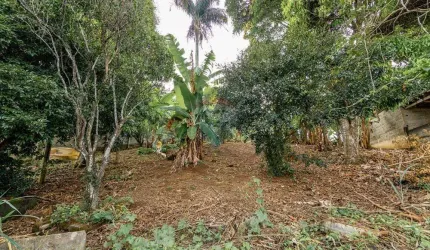 Terreno a venda no Democrata