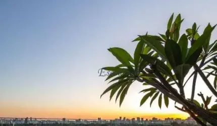 Apartamento à venda, 195 m² por R$ 6.550.000,00 - Jardim Paulista - São Paulo/SP