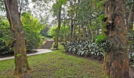Casa para comprar com 3 quartos(3 suítes), 976 m², muito verde -  Cidade Jardim, São Paulo/SP