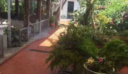 Casa com 3 dormitórios à venda, 320 m² por R$ 6.000.000,00 - Vila Cordeiro - São Paulo/SP