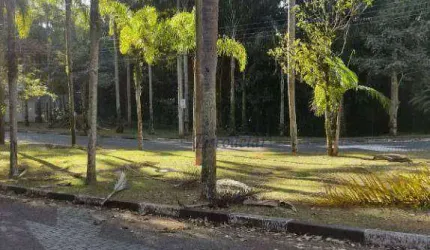 Terreno à venda, 293 m² por R$ 1.000.000,00 - Tucuruvi - São Paulo/SP