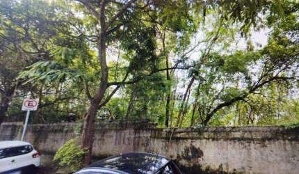 Terreno à venda, 737 m² por R$ 4.000.000,00 - Vila Suzana - São Paulo/SP