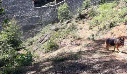 Terreno à venda, 610 m² por R$ 150.000,00 - Mantiqueira - Mairiporã/SP