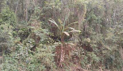 Terreno à venda, 1100 m² por R$ 130.000,00 - Roseira - Mairiporã/SP