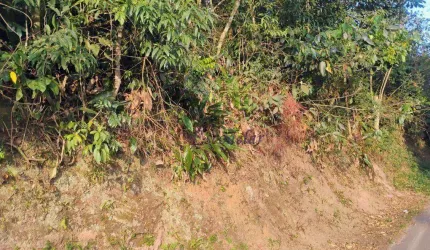 Terreno à venda, 950 m² por R$ 130.000,00 - Roseira - Mairiporã/SP