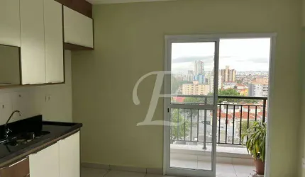 Apartramento, 1 quarto, sala, Vila Paulicéia