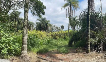 Belíssima Área na Serra da Cantareira