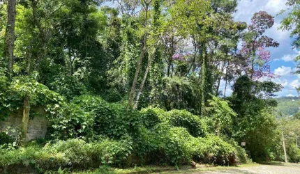 Terreno à venda, 5300 m² por R$ 1.090.000,00 - Roseira - Mairiporã/SP