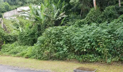 Belíssimo terreno no Condomínio Residencial Cantareira na Serra da Cantareira em Mairiporã.