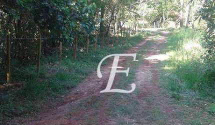 Terreno à venda, 1000 m² por R$ 230.000,00 - Roseira - Mairiporã/SP