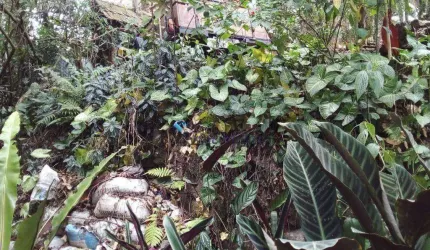 Terreno à venda, 919 m² por R$ 160.000,00 - Parque Petrópolis - Mairiporã/SP