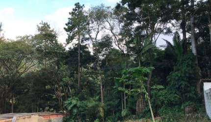 Terreno à venda, 1000 m² por R$ 298.000,00 - Roseira - Mairiporã/SP