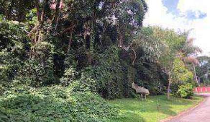 Terreno à venda, 896 m² por R$ 245.000,00 - Parque Petrópolis - Mairiporã/SP