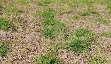 Terreno Residencial à venda, Atibaia Vista da Montanha, Atibaia - TE0051.