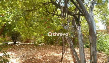 Terreno à venda, 800 m² por R$ 420.000,00 - Marquês de Paranaguá - Teresina/PI