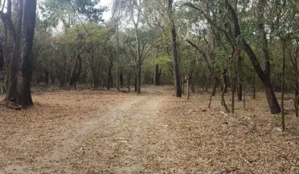 Sítio para Venda em Presidente Bernardes, Santo Antônio, 1 dormitório, 2 banheiros, 6 vagas