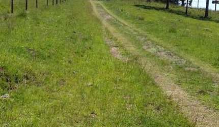 Terreno à venda em Criúva, Caxias do Sul  por R$ 583.000