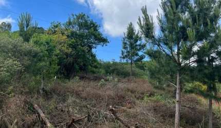 Terreno à venda no Monte Bérico, Caxias do Sul  por R$ 180.000