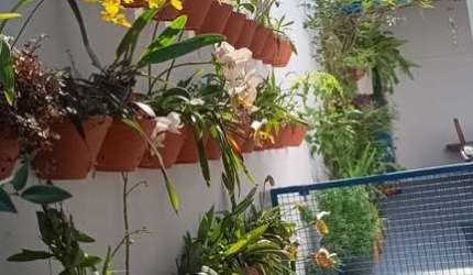 Casa Térrea para venda na Vila Joana, Jundiaí SP