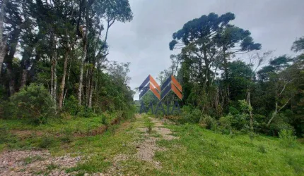 Terreno à venda, 1000 m² por R$ 150.000,00 - Area Rural - São José dos Pinhais/PR