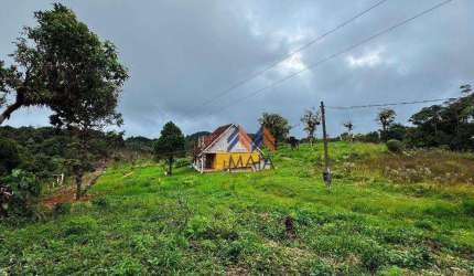 Chácara com 2 dormitórios à venda, 66000 m² por R$ 990.000,00 - Borda Do Campo - São José dos Pinhais/PR
