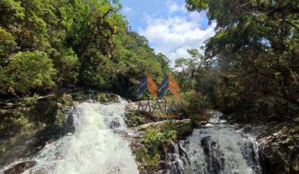 Área à venda, 92 Alqueires por R$ 3.000.000 - Campina - São José dos Pinhais/PR