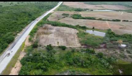 Área / Chácara em Macaíba BR 304