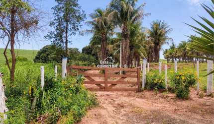 SÍTIO À VENDA em IGUARAÇU 2,25 ALQUEIRES – PARANÁ