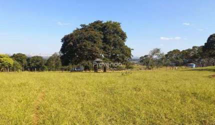 ÁREA COM 58.000M² LOCALIZADA NA RODOVIA GO 080, KM 11,5, GOIÂNIA-GO