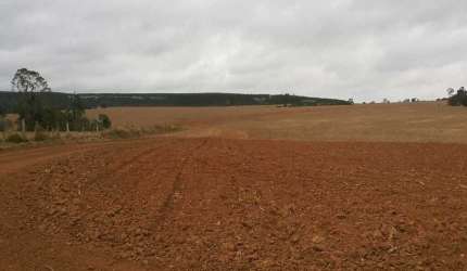 Fazenda à venda em Angatuba/SP