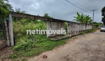 Venda Lote-Área-Terreno Aratuba Vera Cruz