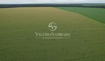 Fazenda à venda 1.456 hectares - Vera - MT