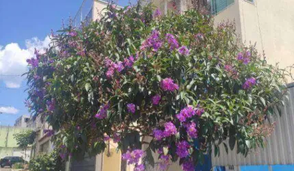 Casa com 3 quartos à venda na Rua das Andorinhas, Paraíso (Polvilho), Cajamar, 180 m2 por R$ 660.000