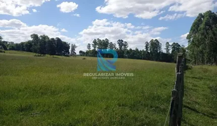 Fazenda com 138 hectares em Cachoeira Do Sul-Rs