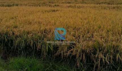 Fazenda 312 hectares