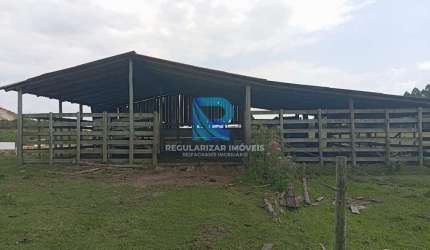 Chácara com 11.5 hectares