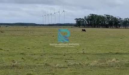 Fazenda excelente 123 hectares Palmares Do Sul.