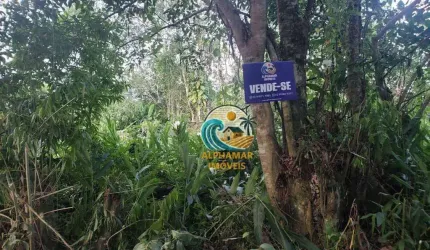 Terreno de 312m² à Venda – Massaguaçu, Caraguatatuba
