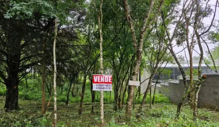 Terreno à venda, 480 m² por R$190.000,00 - Guatupe - São José dos Pinhais/PR