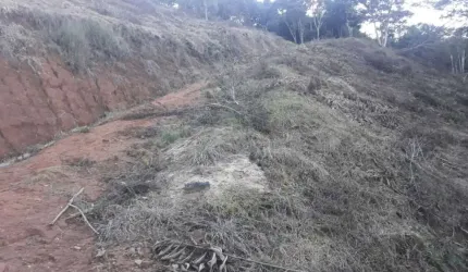 Sítio com 20.000m² á venda nos Cordeiros, sem benfeitorias (só terreno), e topografia em aclive.