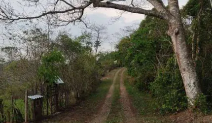 Excelente Terreno com 4.000m², no Condomínio Rural Ribeirão do Carmo, em Valadares.