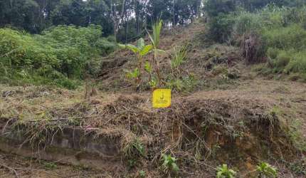 Terreno à venda, 360 m² por R$ 260.000,00 - São Pedro - Juiz de Fora/MG