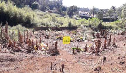 Terreno à venda, 400 m² por R$ 300.000,00 - Novo Horizonte - Juiz de Fora/MG