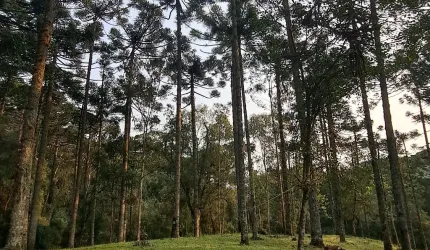 Na  porta de CANELA RS