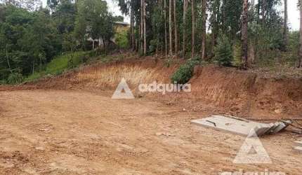 Terreno à venda 2156M², Nova Rússia, Ponta Grossa - PR